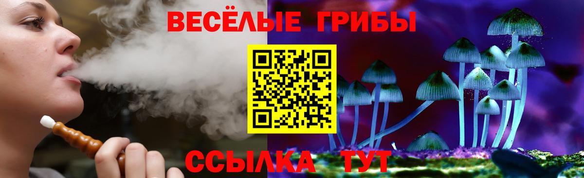 где купить наркоту  Псилоцибиновые грибы мухоморы  Вход с VPN  Гудермес 